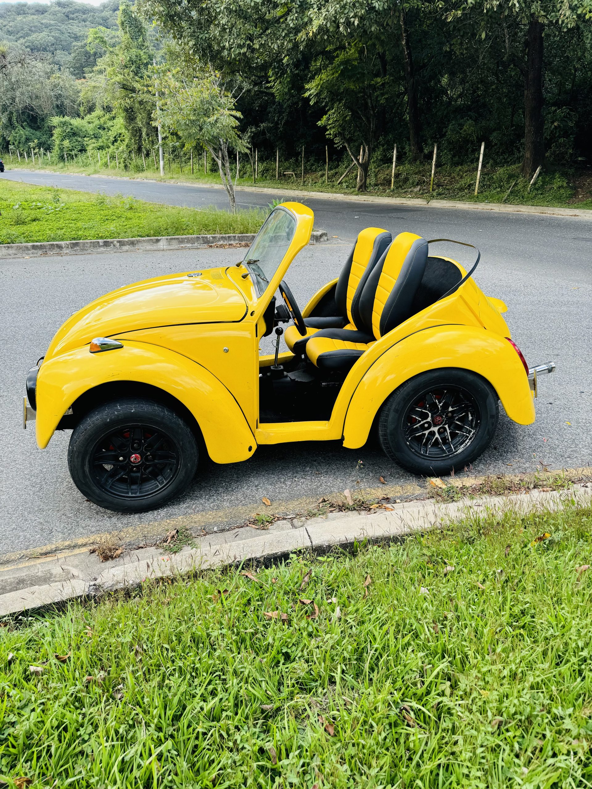 Vochos/en venta descapotado Recortado 1997 en venta - Imagen 6